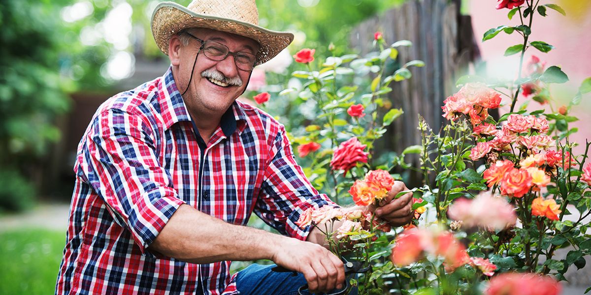 senior man in the garden