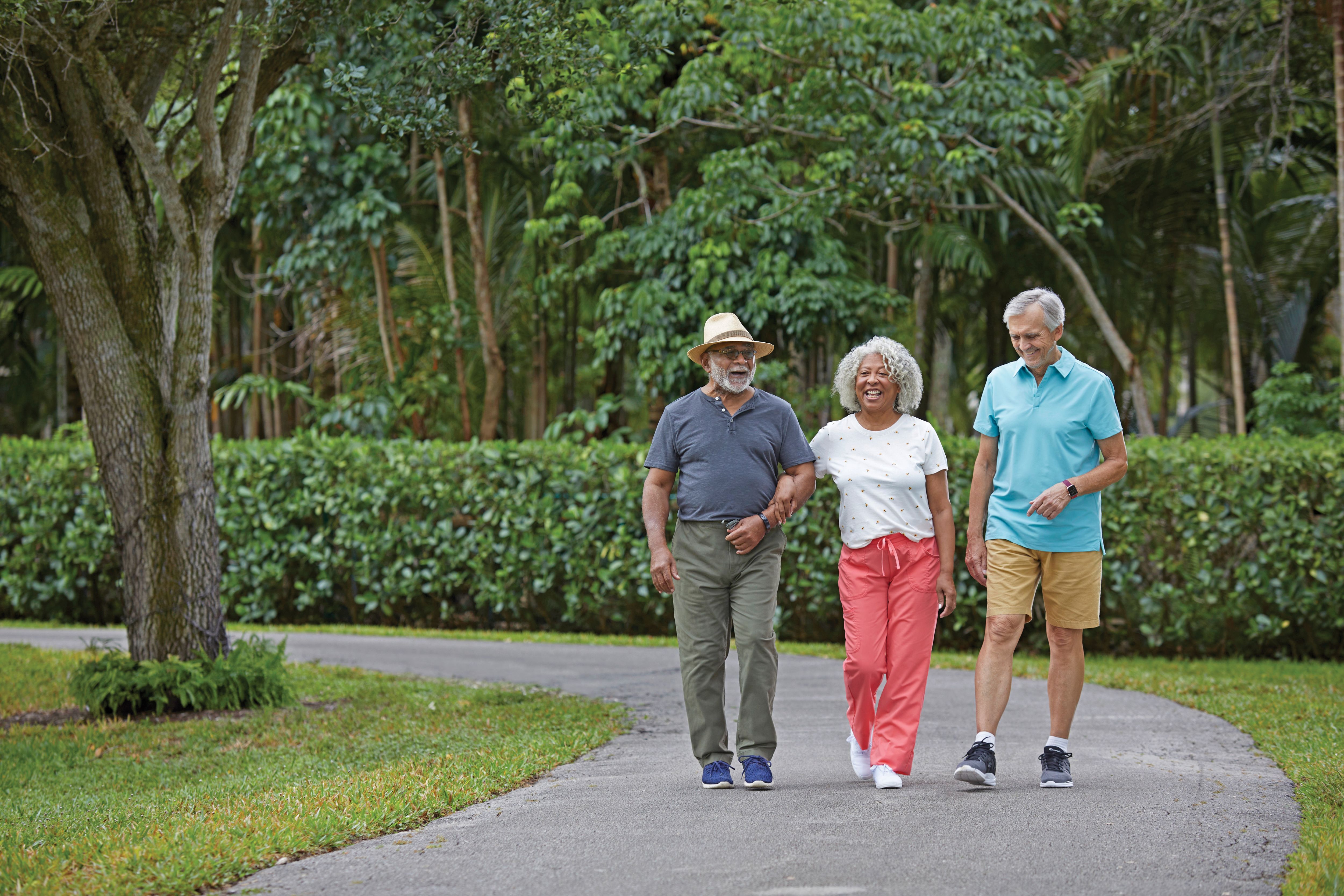 Group of seniors walking in the park enjoy life