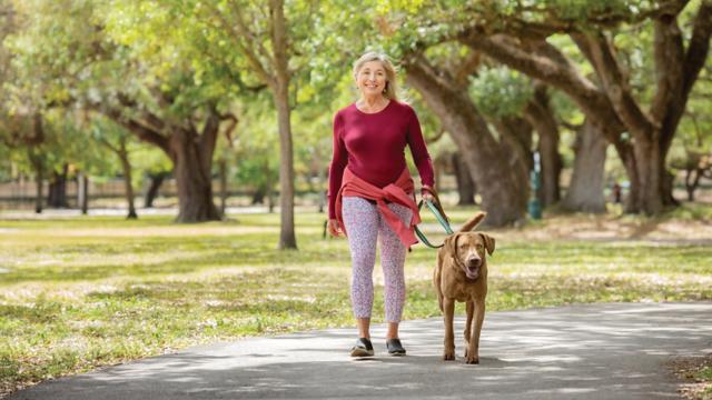 A woman walks her dog through a park. 