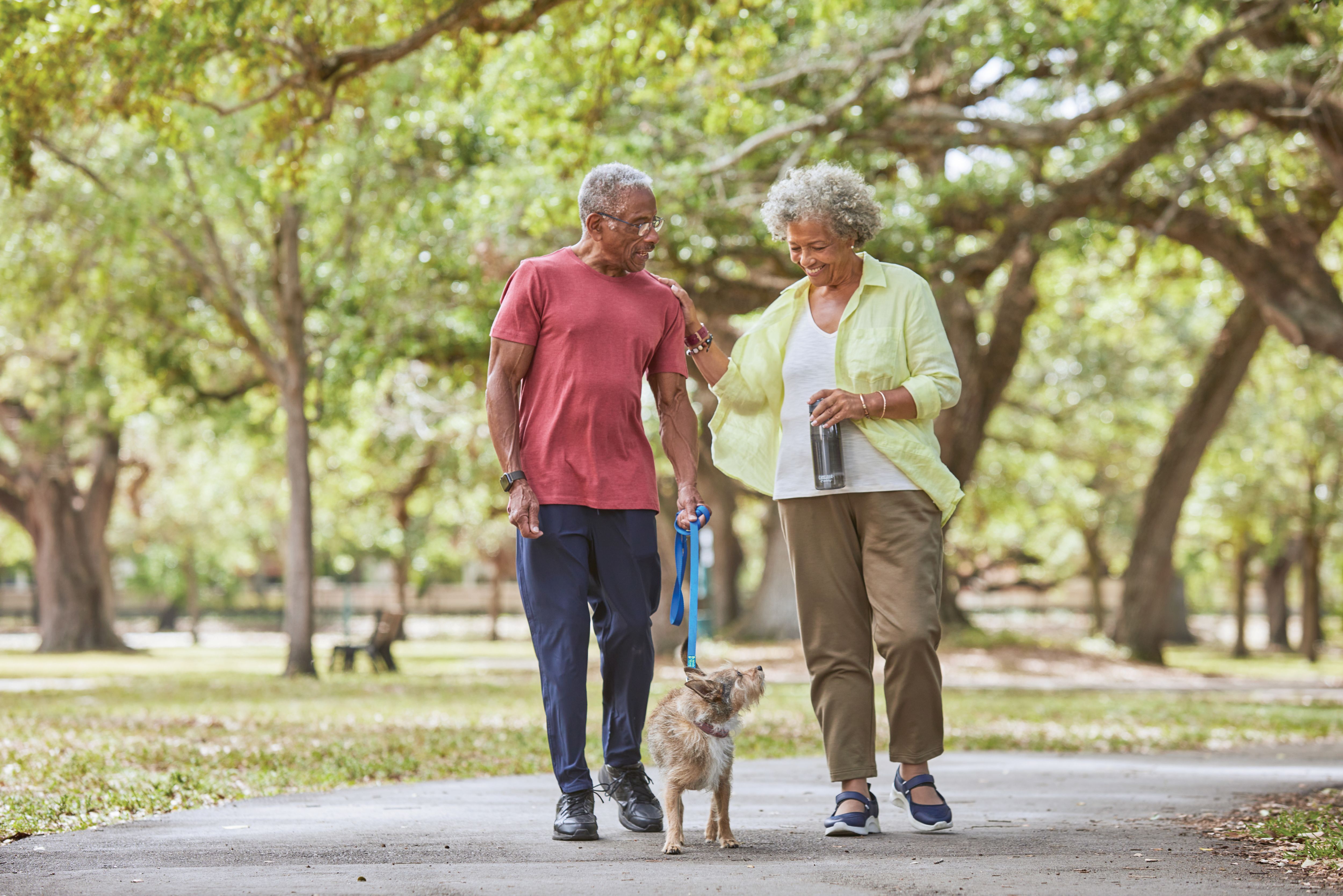 Senior couple taking their dog for a walk in the park