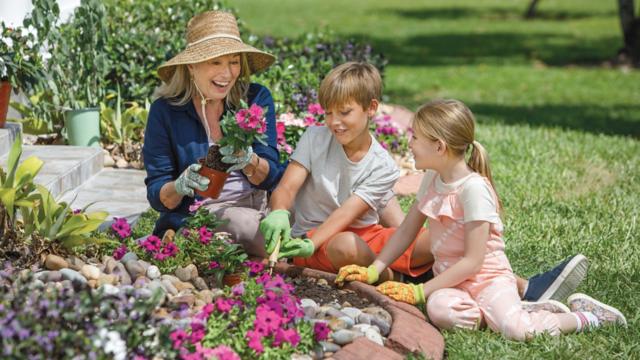 A woman and her grandchildren enjoy planting flowers in a sunlit garden.
