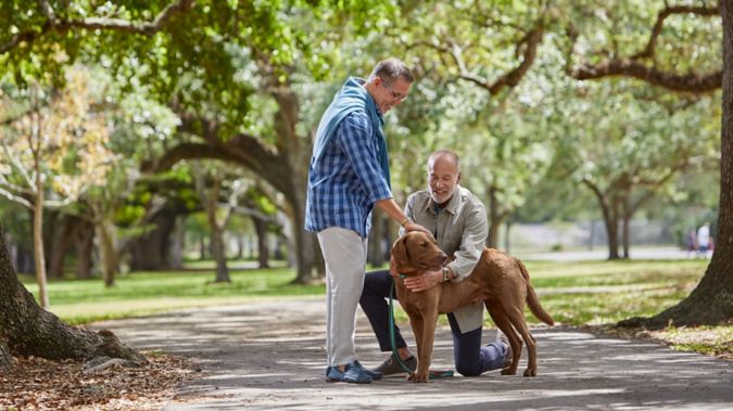 Senior men petting dog in park setting with trees