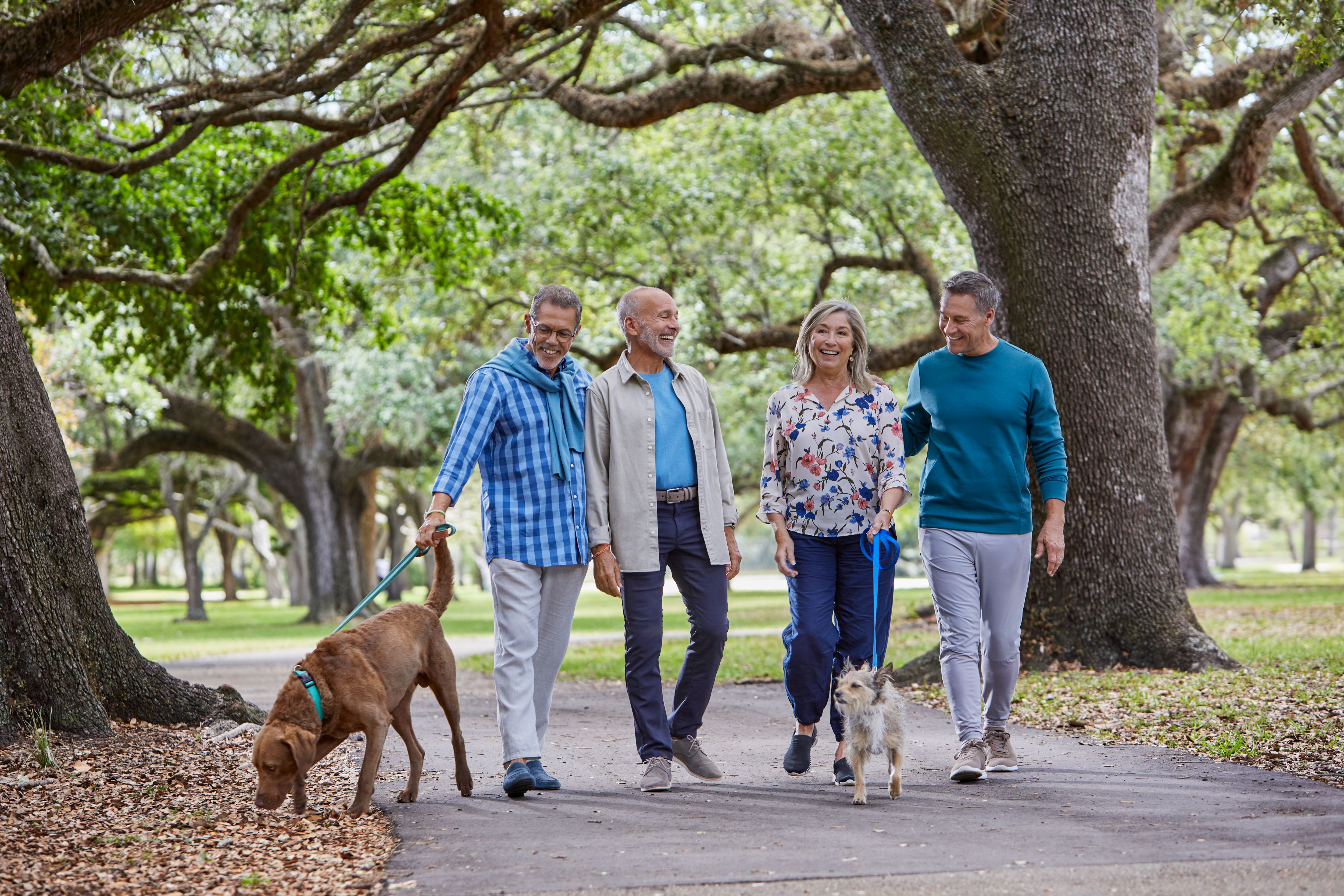 2 couples laugh while walking their dogs in a park.