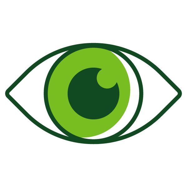 eye