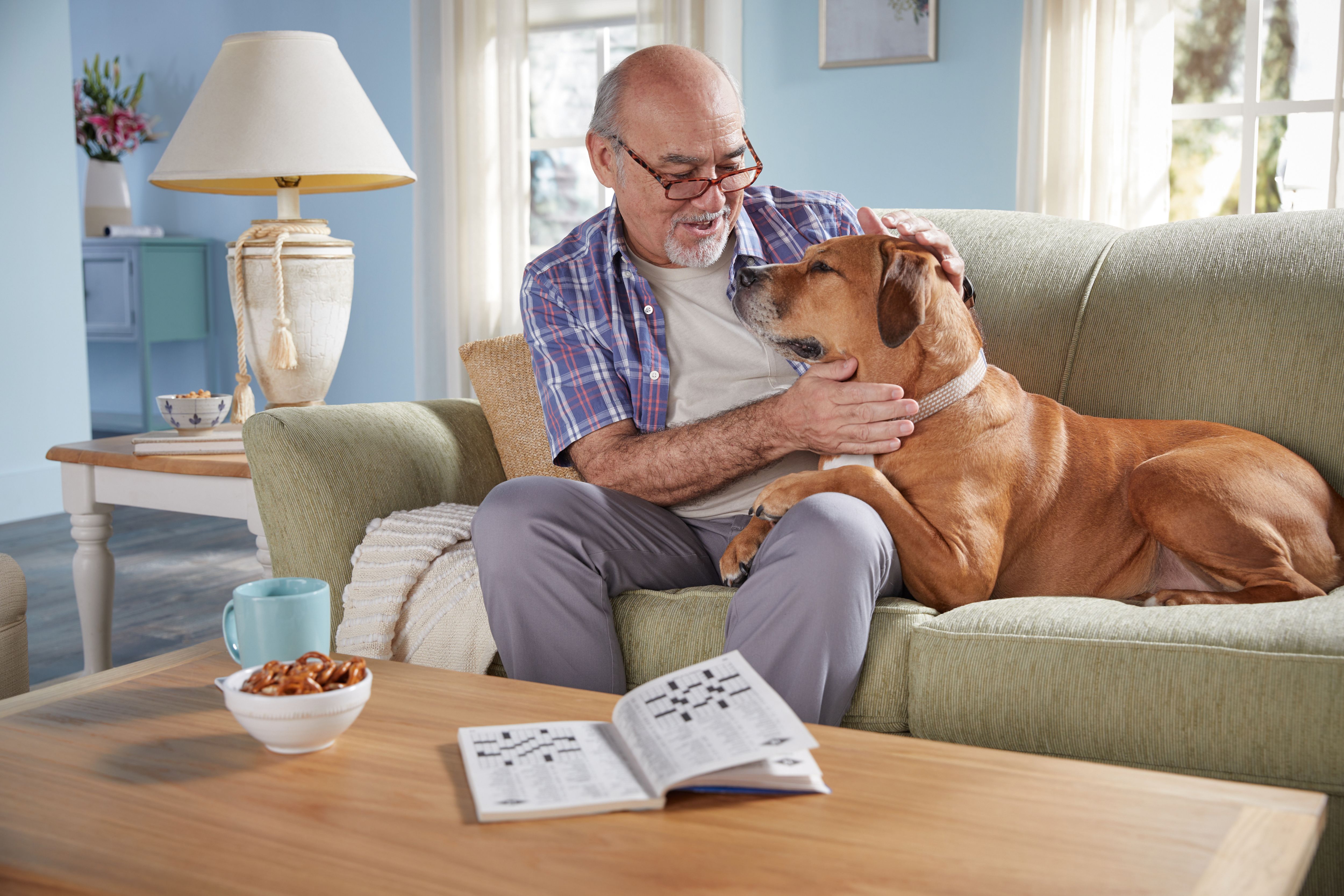 Senior man sitting on couch in living room reviewing medications