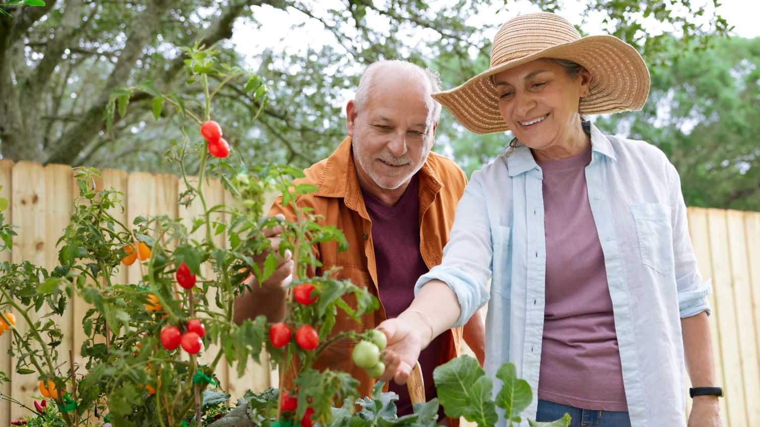 Seniors gardening in outdoor vegetable garden