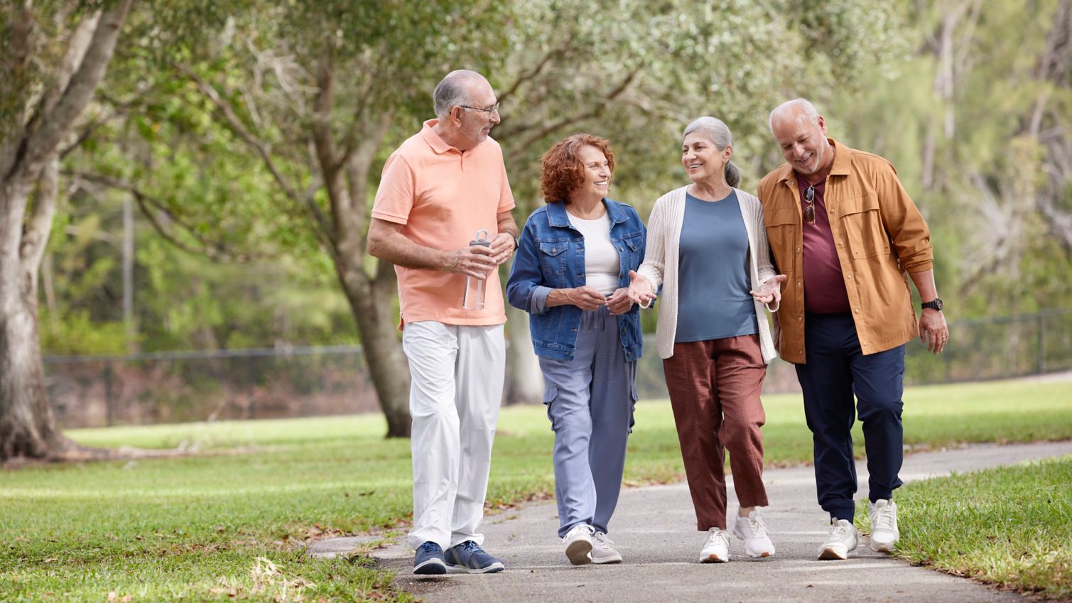 Four seniors walking todether in the park.