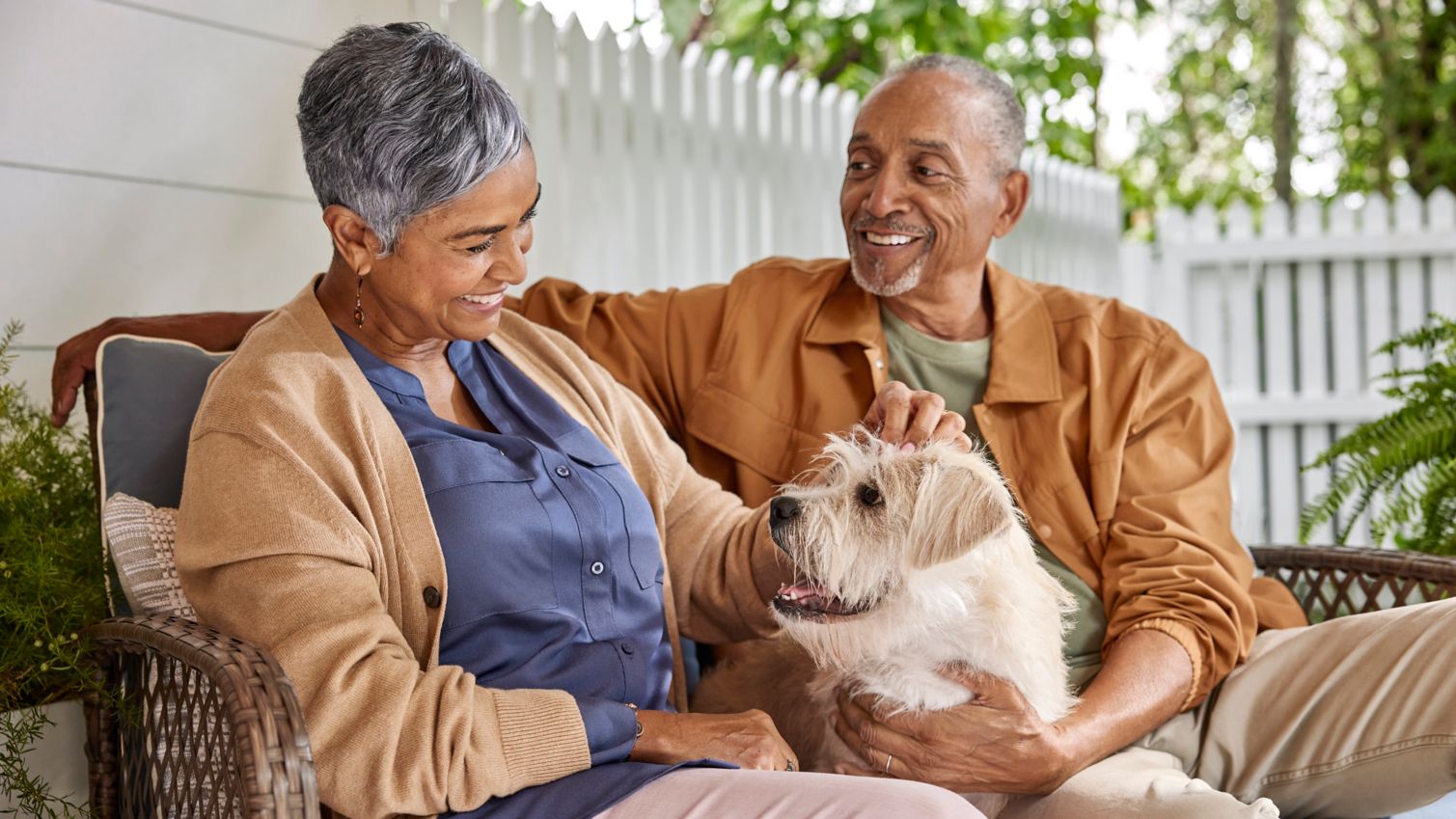 Seniors socializing and playing with dog