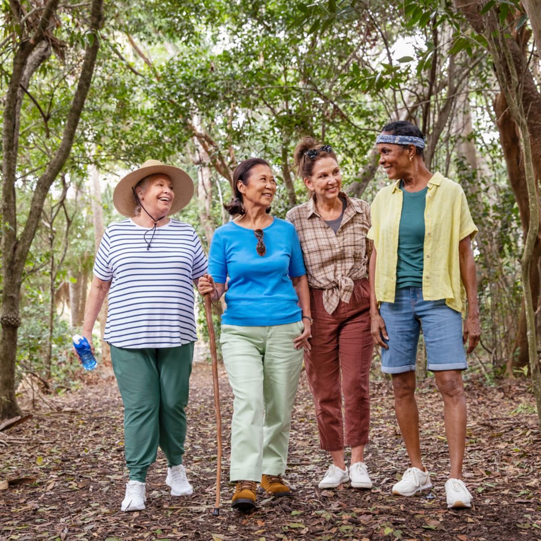 4 people walking on a forest trail.