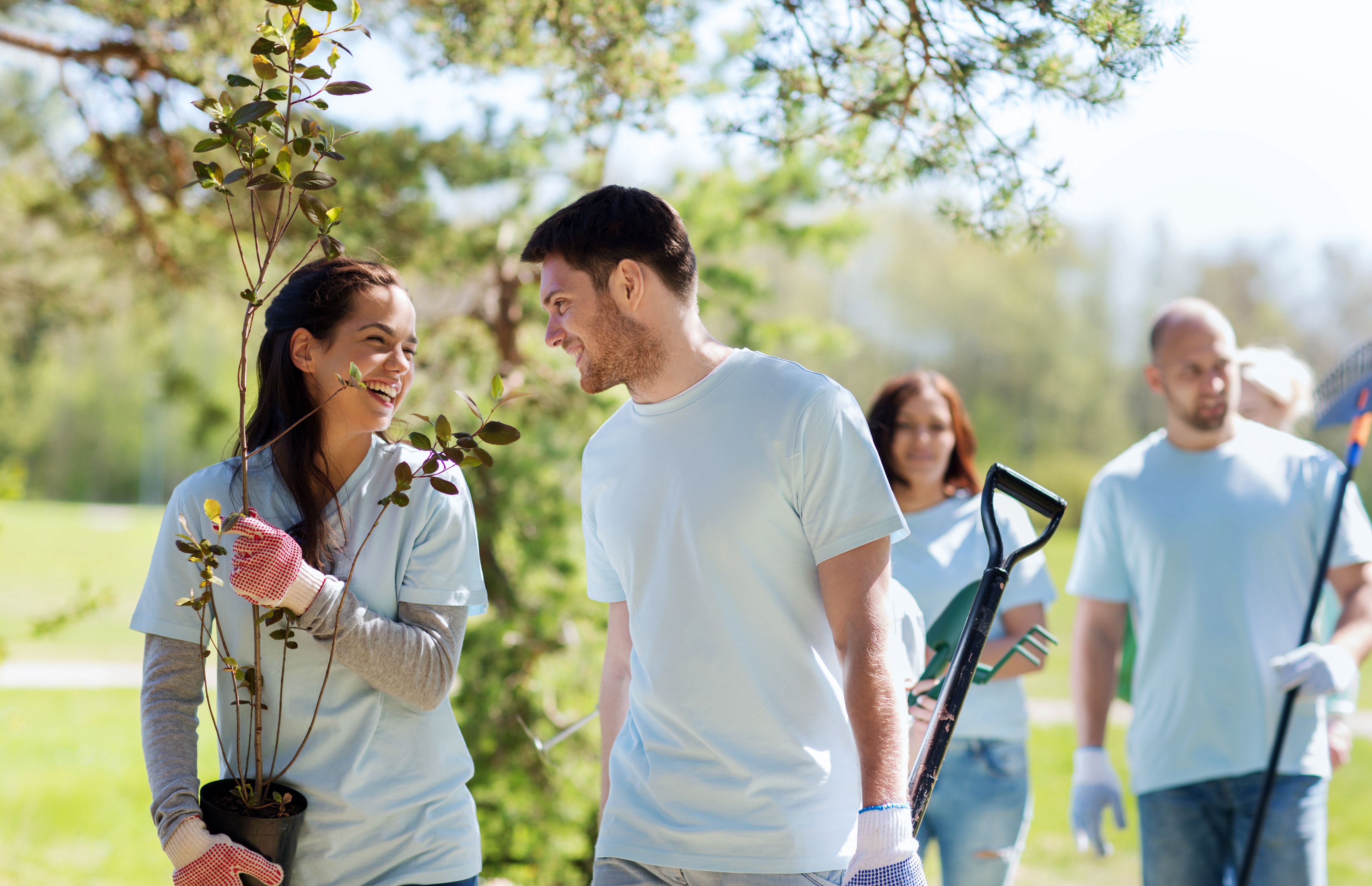 Dental HMO (DHMO) Insurance Dental Value Plan Humana