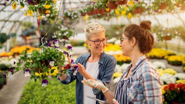 Two women in a garden center look at a hanging basket of pansies. 