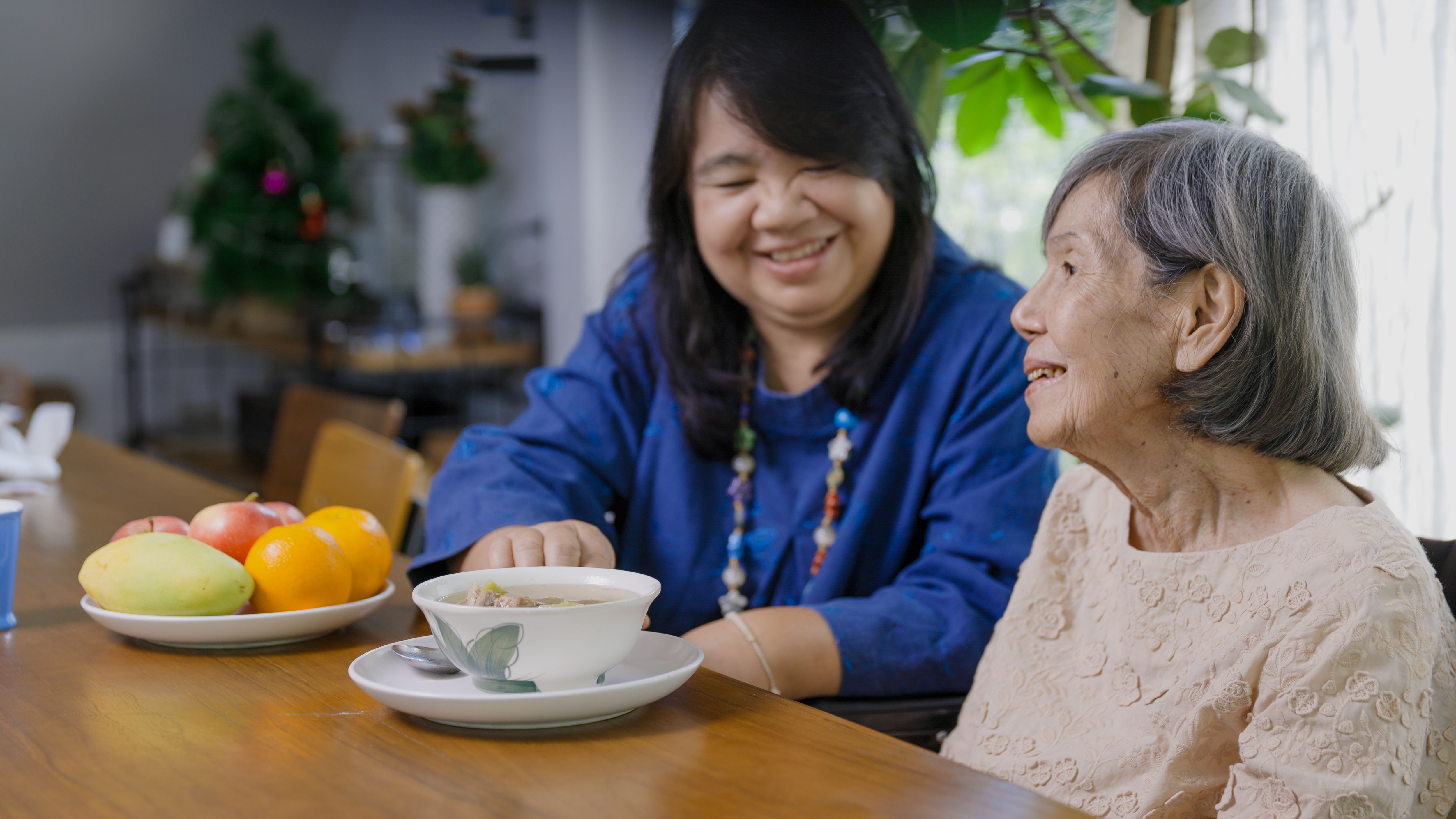 Daughter feeding elderly mother with soup.