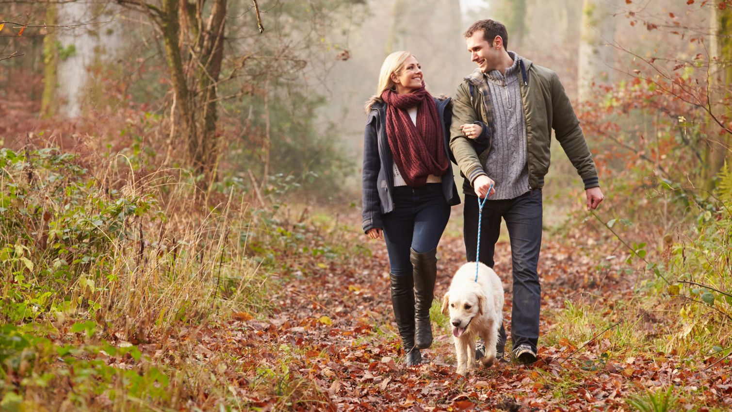 A couple walks their dog.