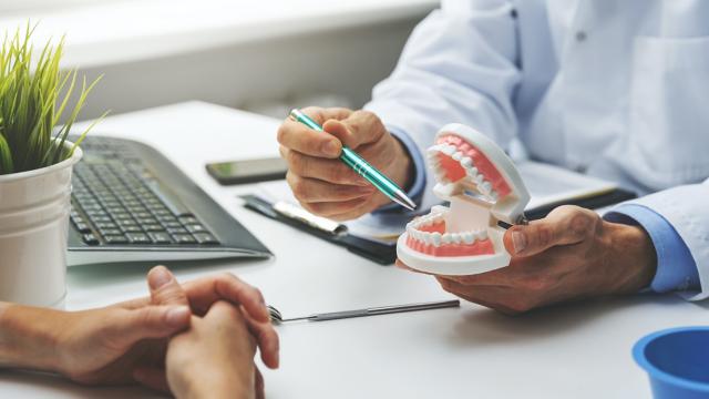Dentist showing a tooth model to the patient.