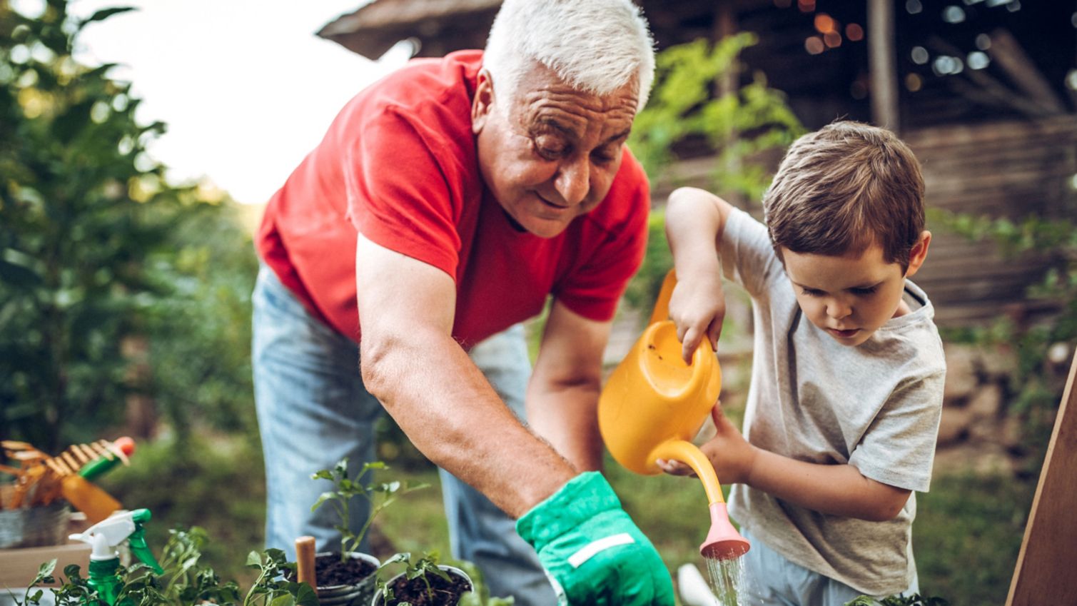 Grandfather works in the garden with his grandson