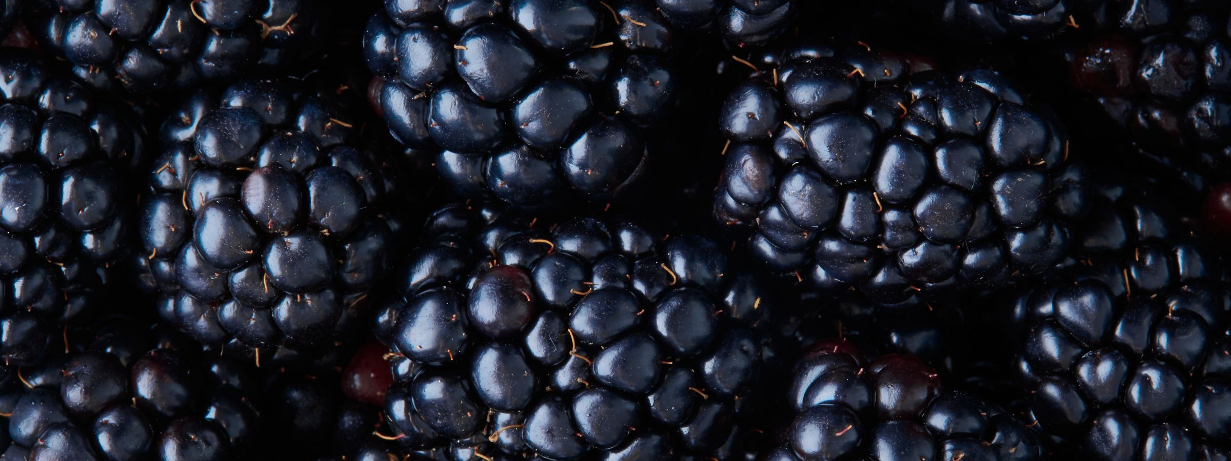 Blackberries