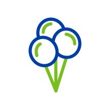 Open House Balloons icon