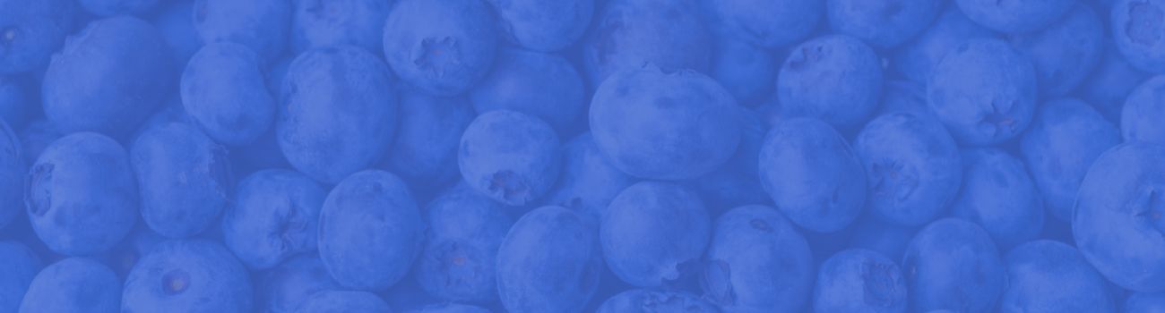 Close-up of blueberries