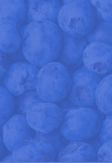 Close-up of blueberries