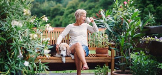 How seniors benefit from pet therapy