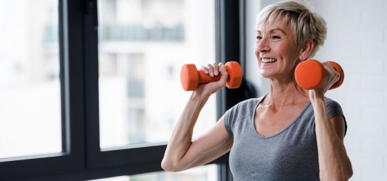 Strength exercises for online older adults