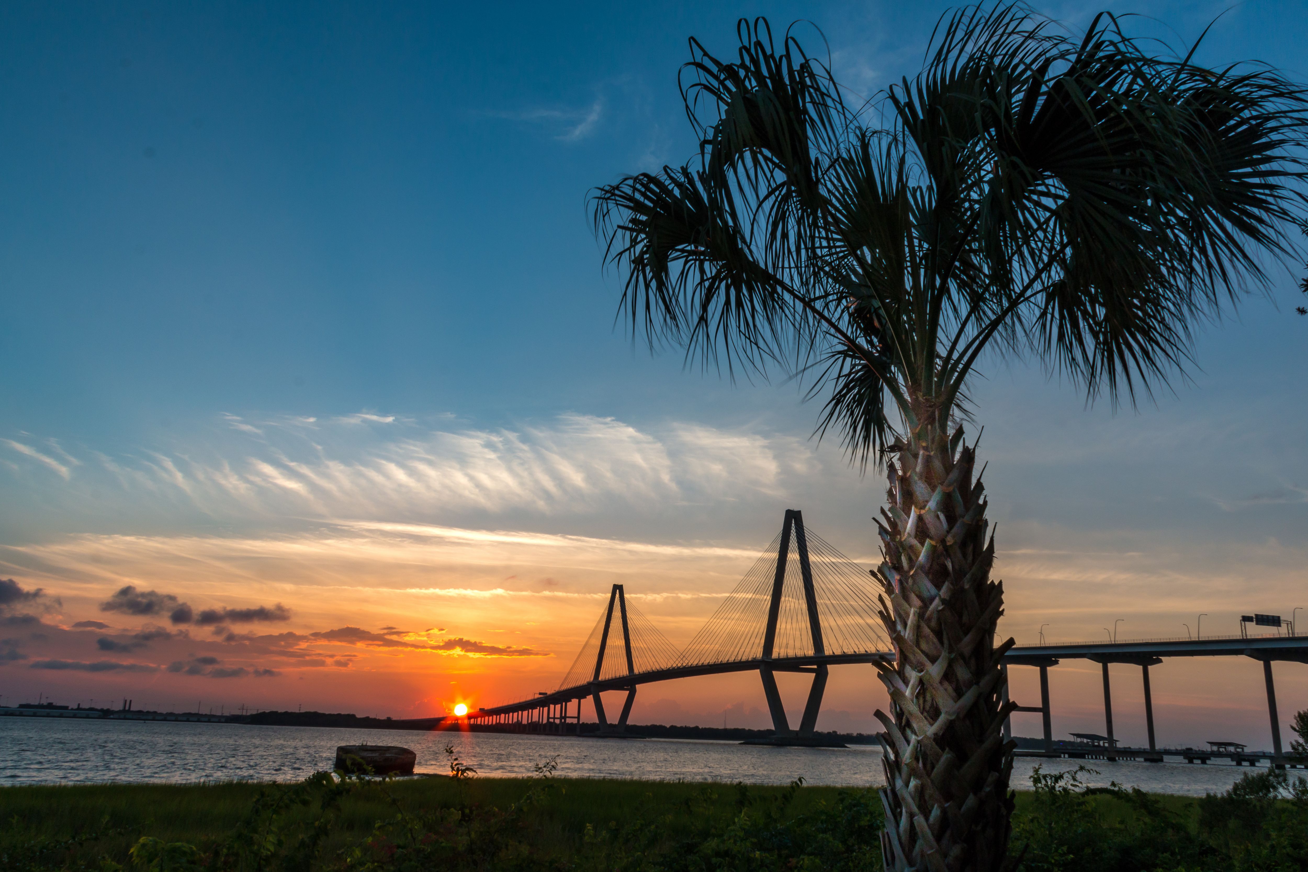 cable bridge with sunset and palmetto tree
